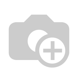 AssistING das Servicepaket (1 Jahr)